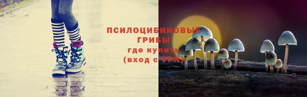 хмурый Алзамай
