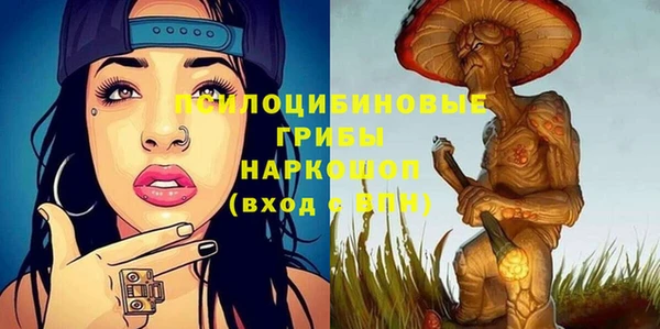 шишки Алексеевка