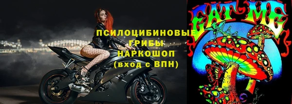 хмурый Алзамай